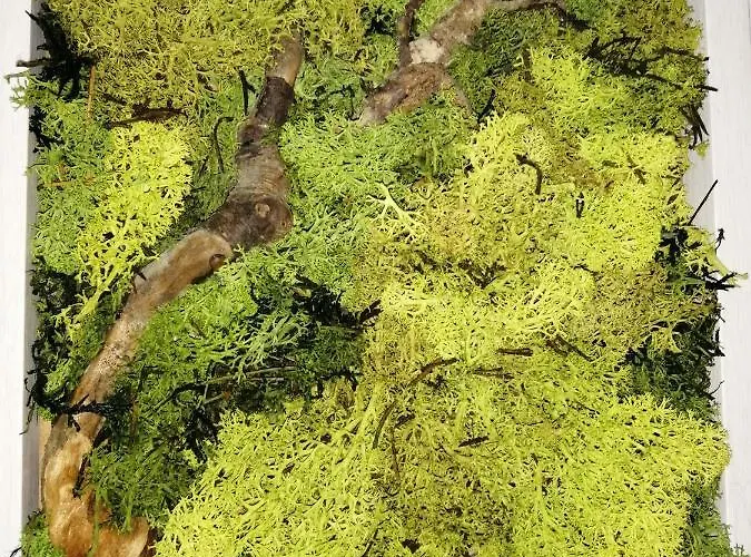 Przy Rynku Apartment